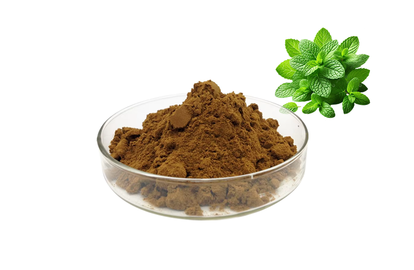 Oregano Extract Powder